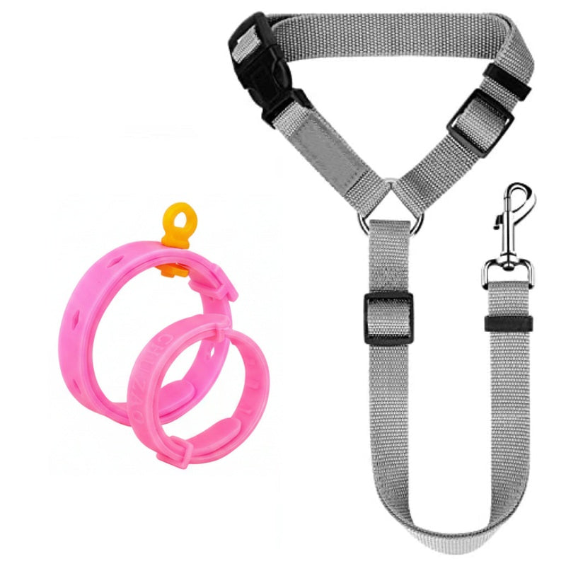 2-in-1 Dog Car Seat Belt & Walking Leash