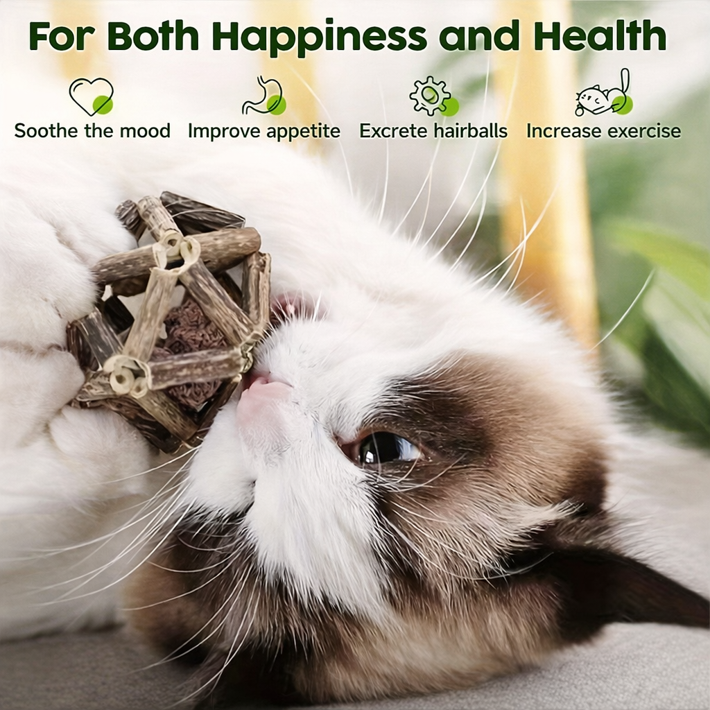 Silvervine Chew Balls for Cats — Natural Toy