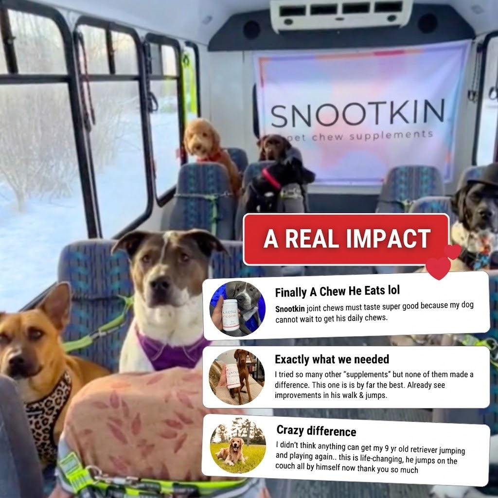Hip & Joint Chews for Dogs — Mobility Support