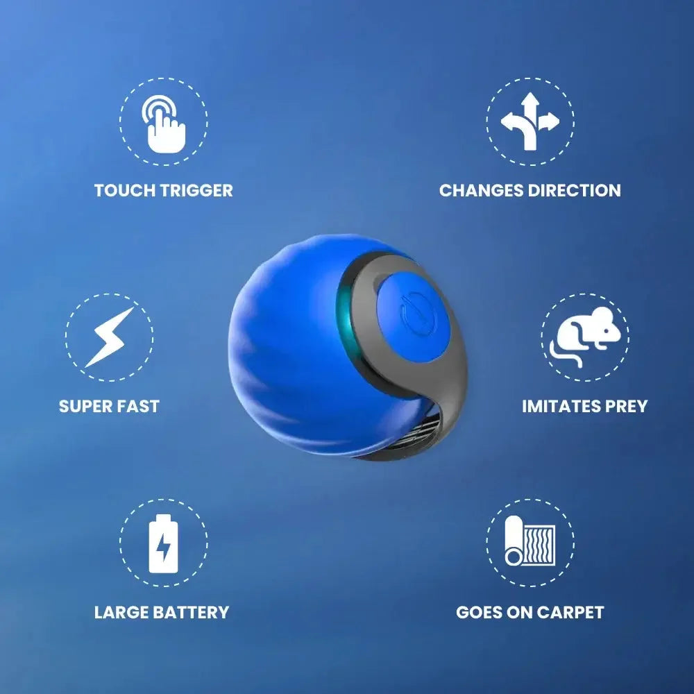 Interactive Electric Rolling Cat Toy Ball with Teaser Tail - Blue & Orange