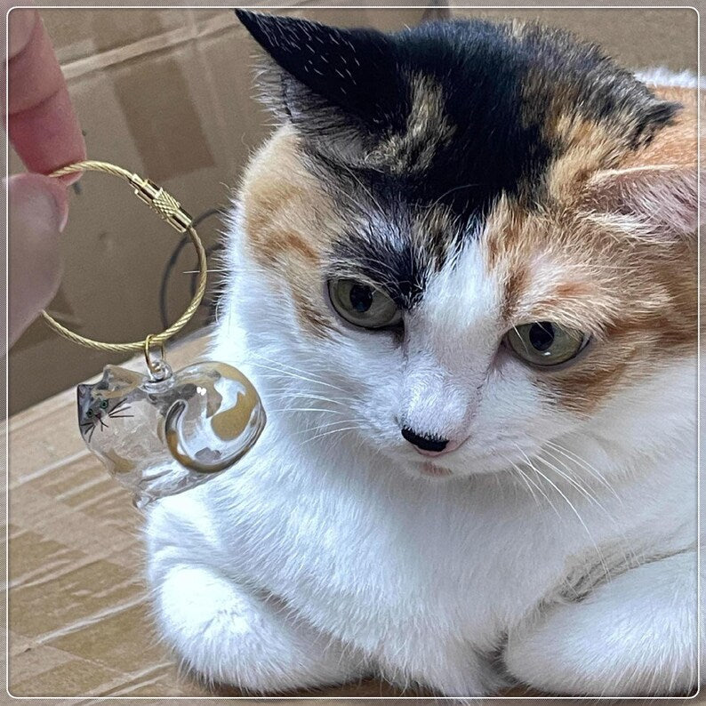 Custom Pet Hair Keepsake Keychain, Personalized Clear Pet Fur Storage Key Ring