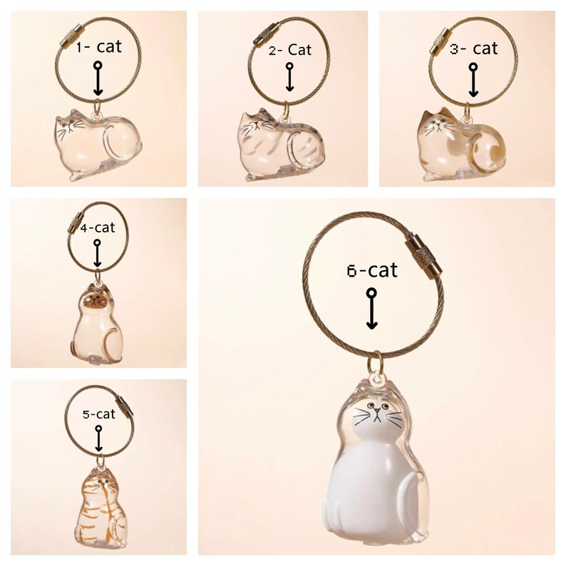 Custom Pet Hair Keepsake Keychain, Personalized Clear Pet Fur Storage Key Ring