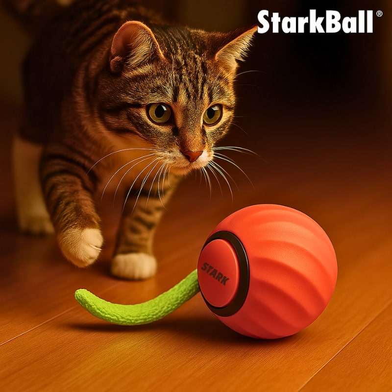 Snootkin Smart Interactive Cat Ball Toy - Self-Moving Teaser