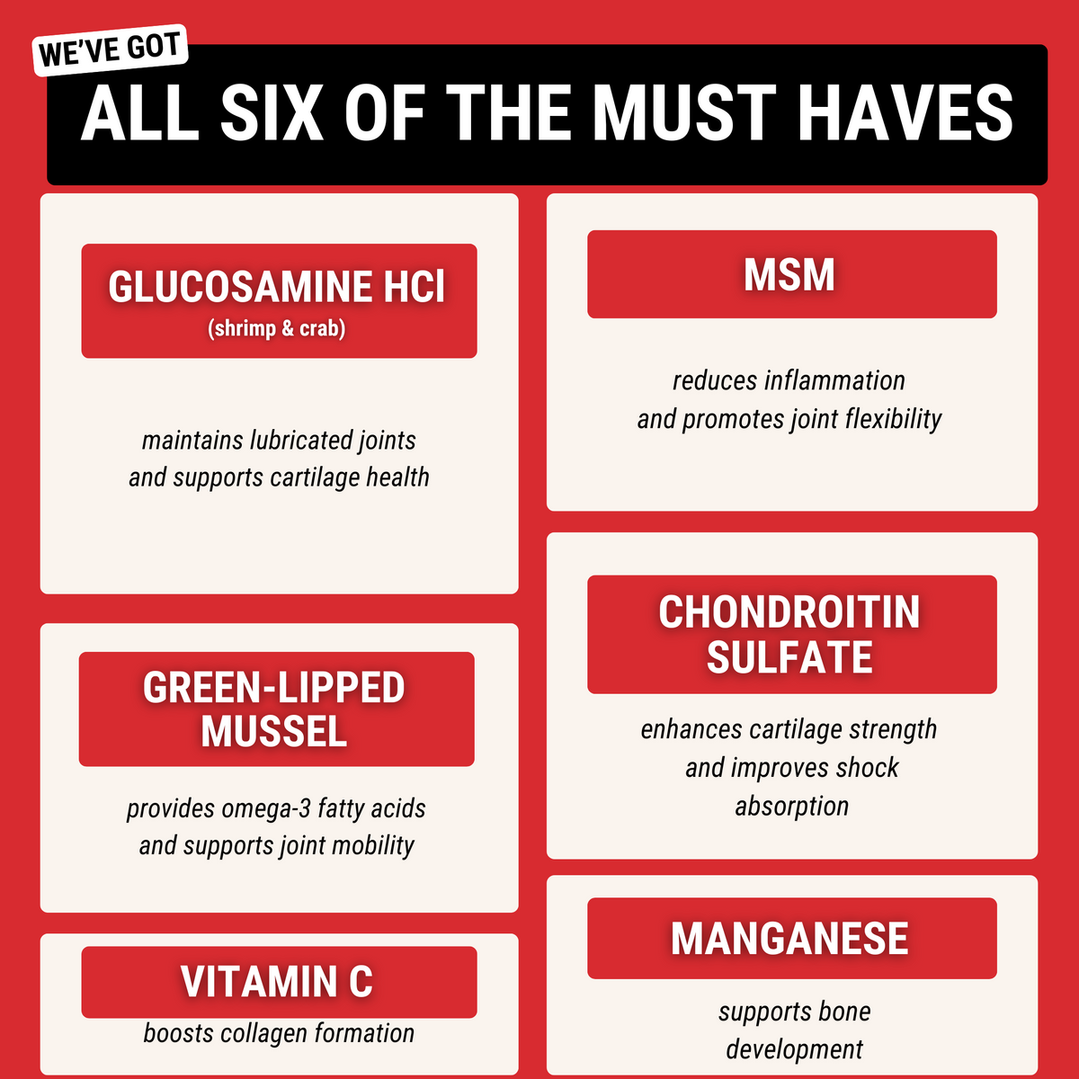 Hip & Joint Chews for Dogs — Mobility Support