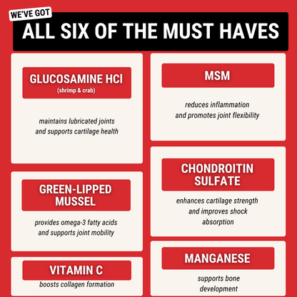 Hip & Joint Chews for Dogs — Mobility Support