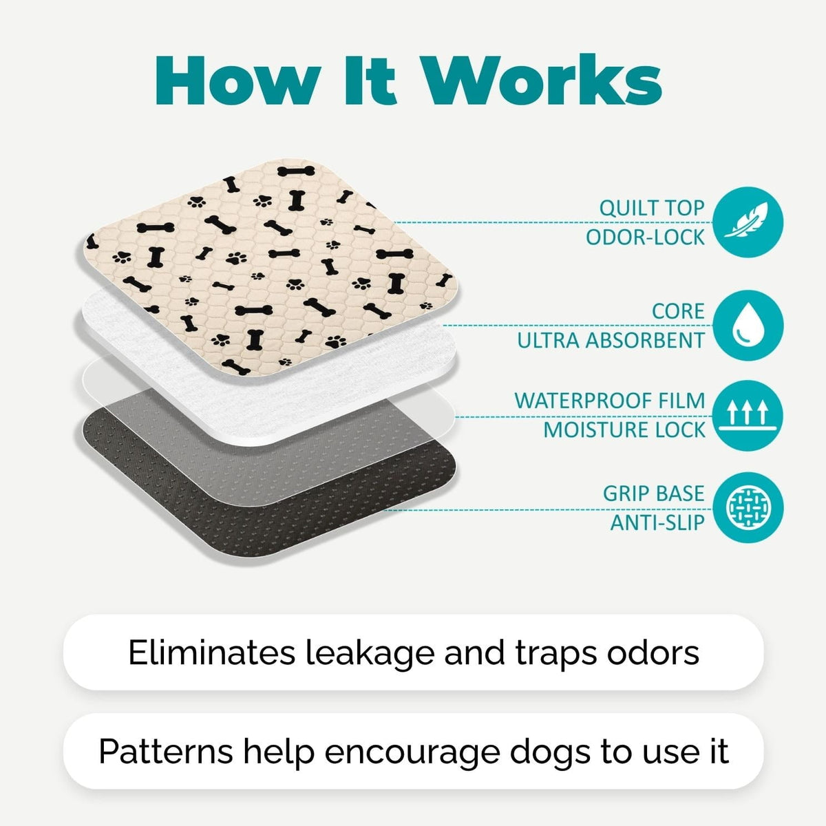 Washable Dog Pee Pads — Reusable, Leak-Proof