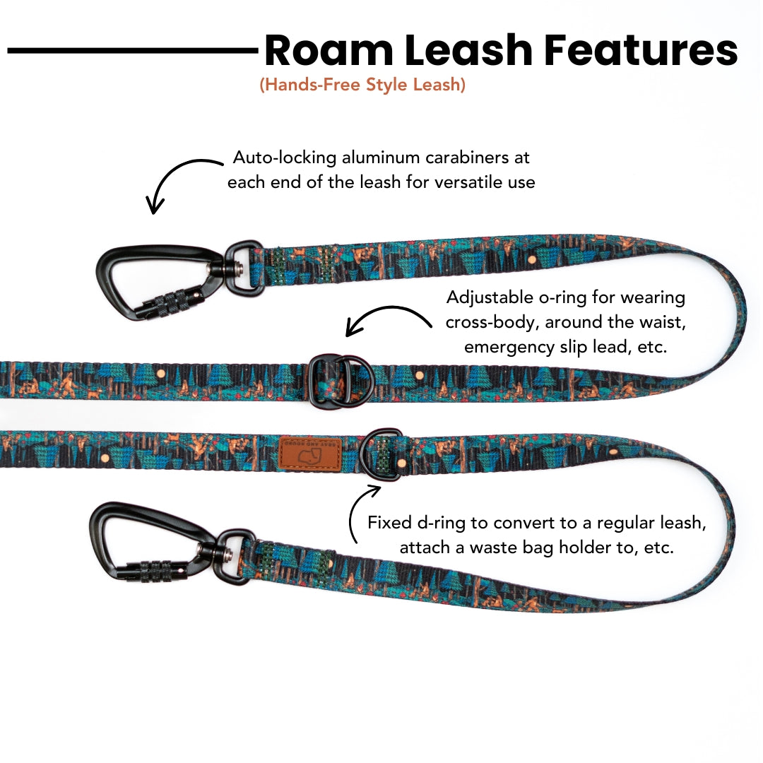 Adventure Dog Leash — Locking Carabiner Clip