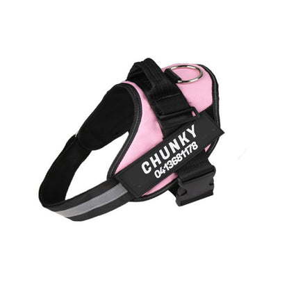 Personalized No-Pull Dog Harness