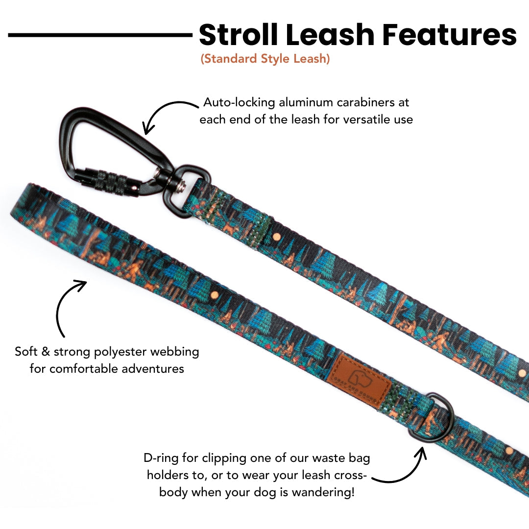 Adventure Dog Leash — Locking Carabiner Clip