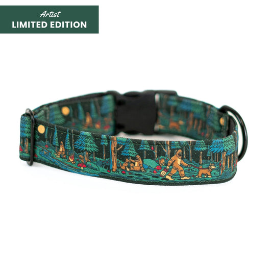 Adventure Dog Collar — Durable, Locking Buckle