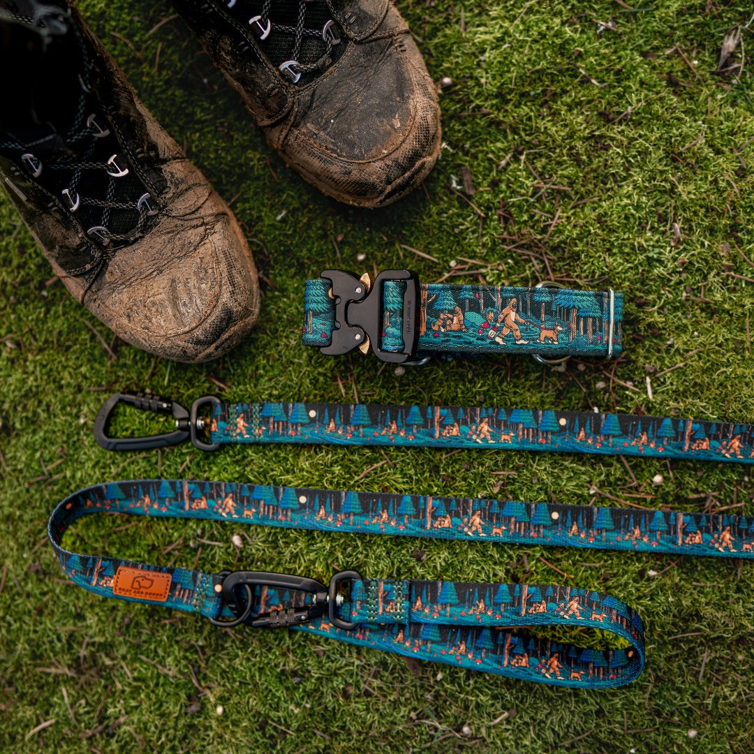 Adventure Dog Leash — Locking Carabiner Clip