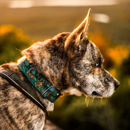 Adventure Dog Collar — Durable, Locking Buckle