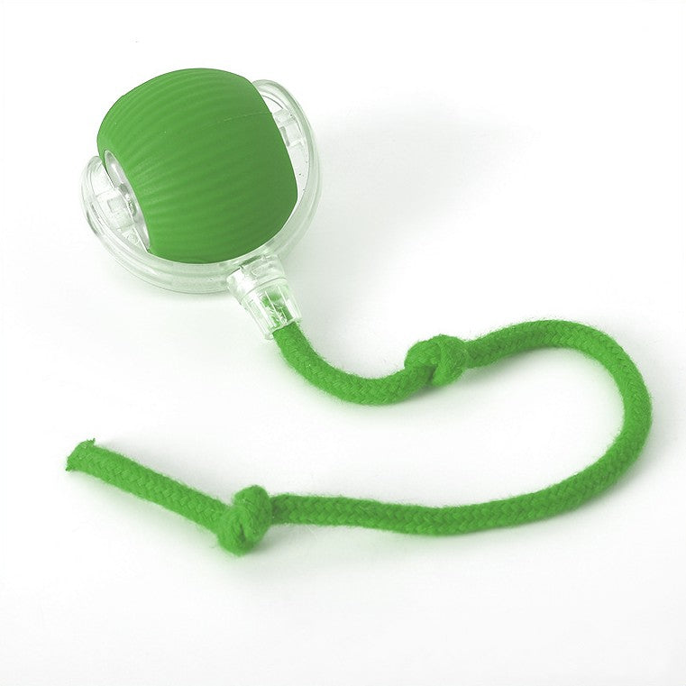 Interactive Rolling Ball Dog Toy — Motion-Activated Chase Toy