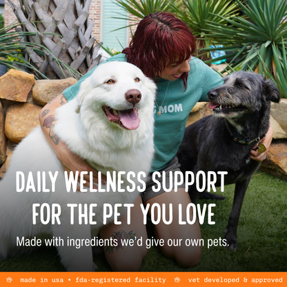 Gut & Immune Powder for Dogs & Cats — Bone Broth