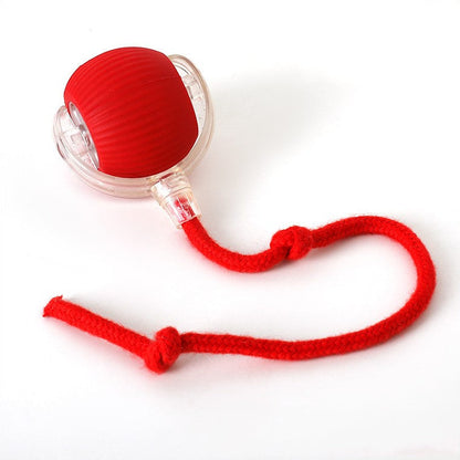 Interactive Rolling Ball Dog Toy — Motion-Activated Chase Toy