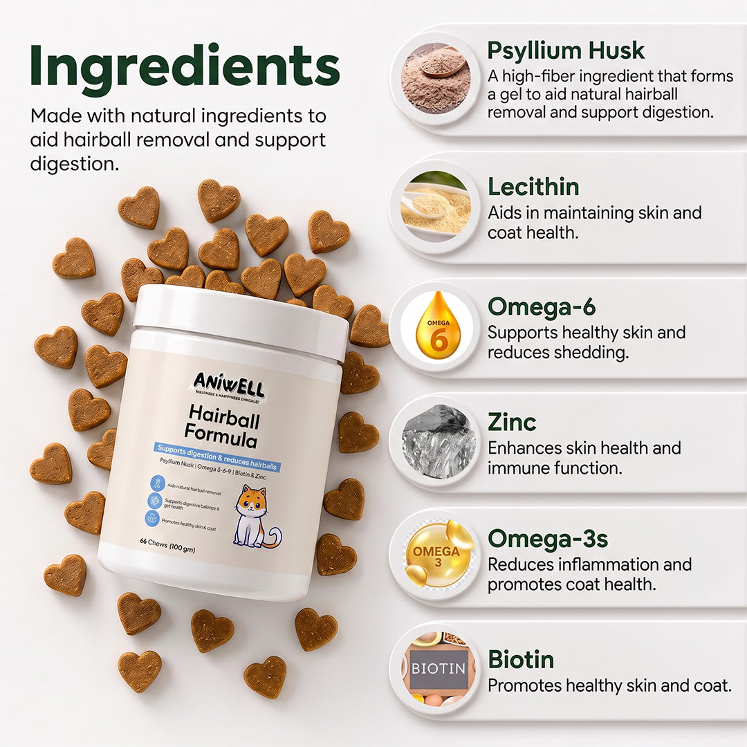 Snootkin Hairball Formula – Hairball Management with Omega-3s & Biotin for Cats