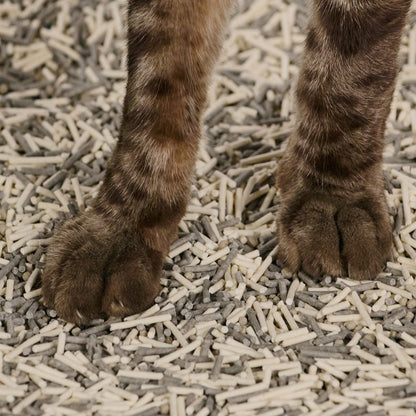 Clumping Tofu Cat Litter — Odor Control