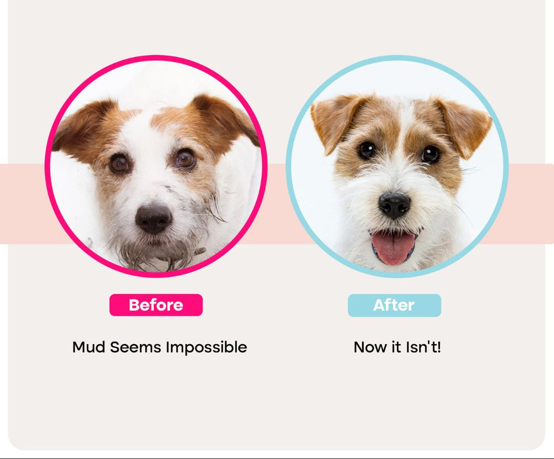 Pet Grooming Glove Wipes — No-Rinse Clean After Walks