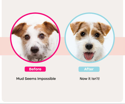 Pet Grooming Glove Wipes — No-Rinse Clean After Walks