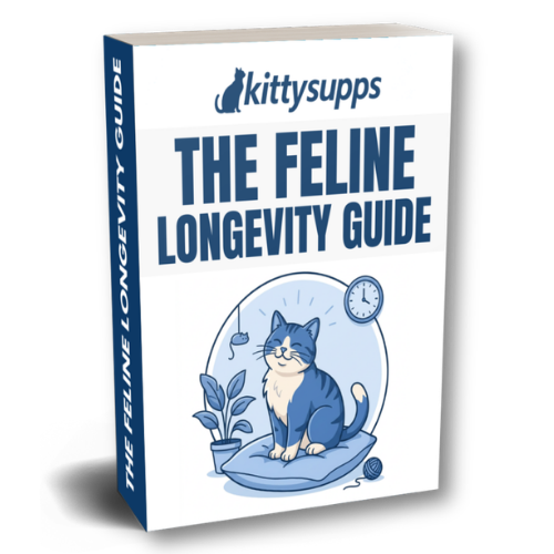 The Hidden Itch Guide