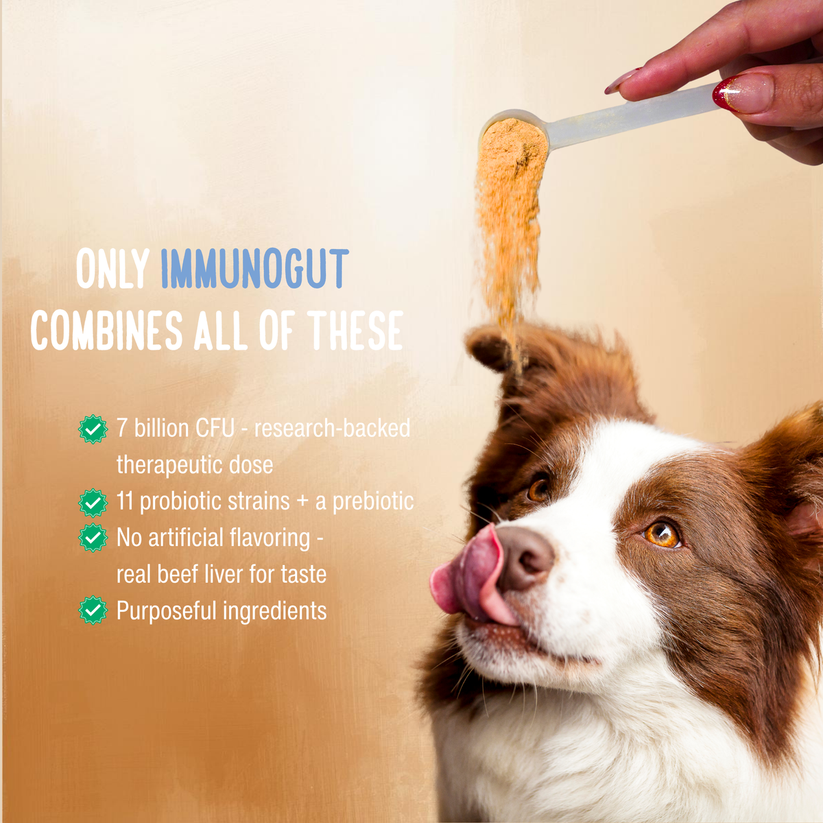 Gut & Immune Powder for Dogs & Cats — Bone Broth