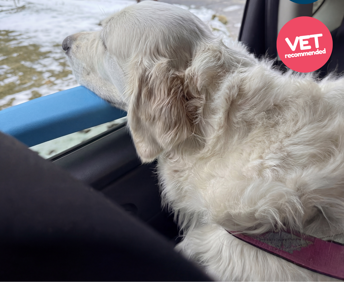 Dog Car Window Pillow — Safe Ride Armrest