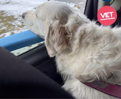 Dog Car Window Pillow — Safe Ride Armrest