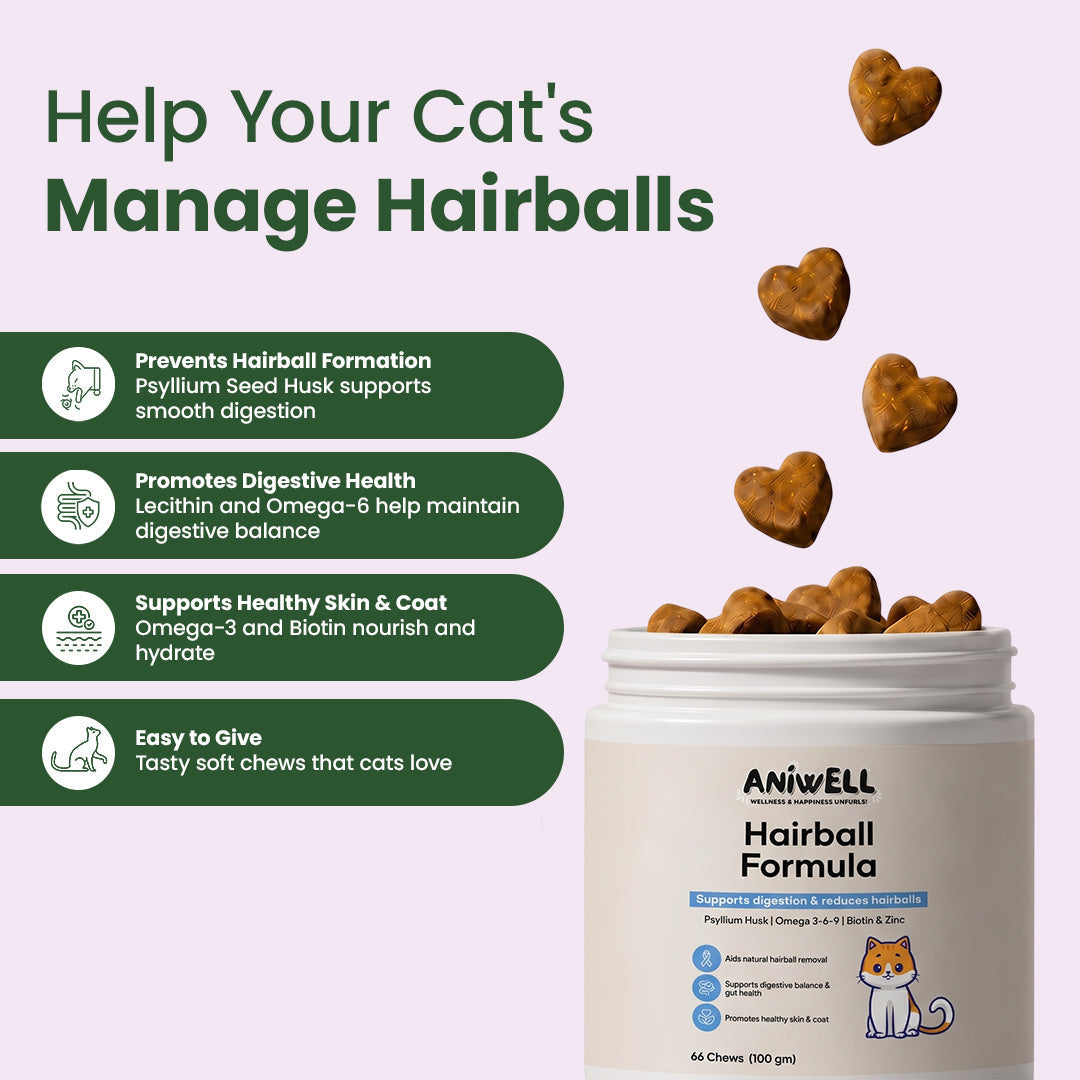 Snootkin Hairball Formula – Hairball Management with Omega-3s & Biotin for Cats