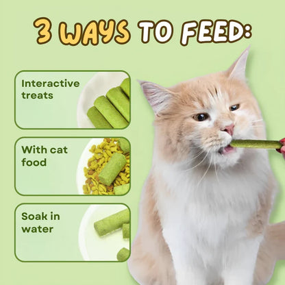 Cat grass sticks for better digestion and healthy teeth
