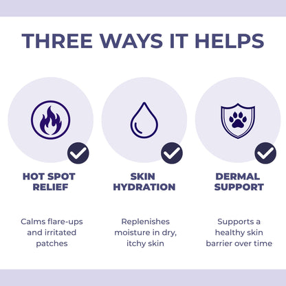 Dog Anti-Itch Spray — Dry & Itchy Skin