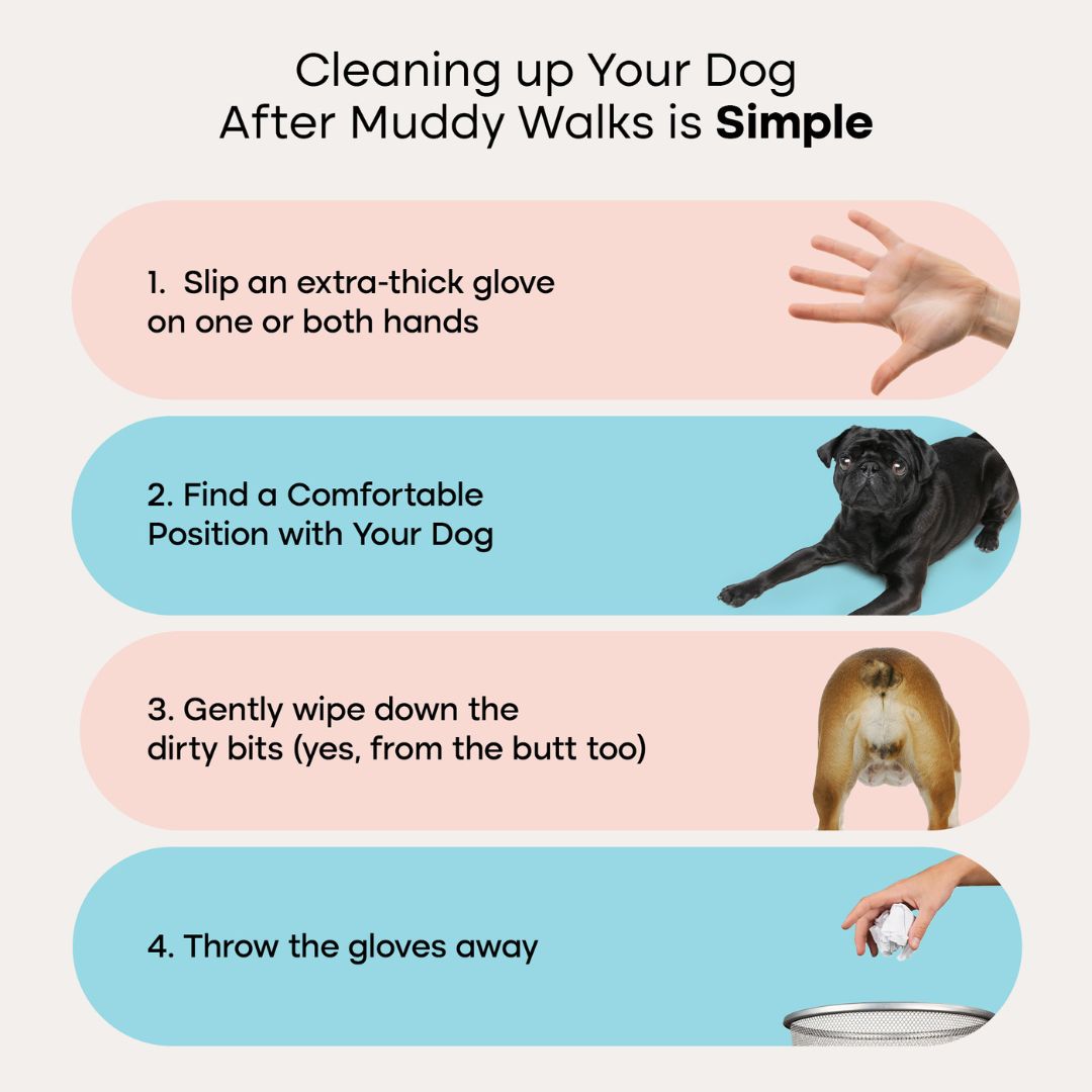 Pet Grooming Glove Wipes — No-Rinse Clean After Walks