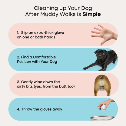 Pet Grooming Glove Wipes — No-Rinse Clean After Walks