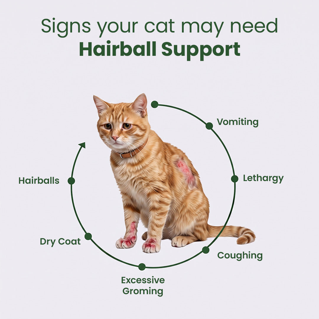 Snootkin Hairball Formula – Hairball Management with Omega-3s & Biotin for Cats