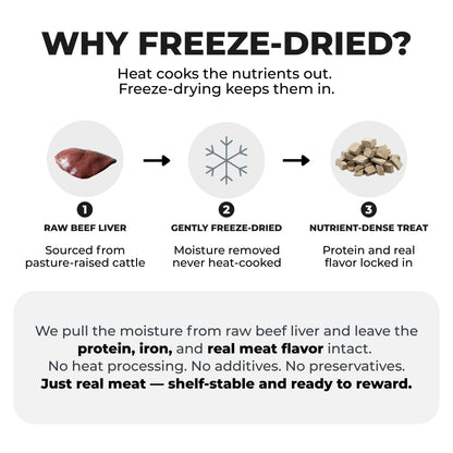 Freeze-Dried Beef Liver Dog Treats — Training