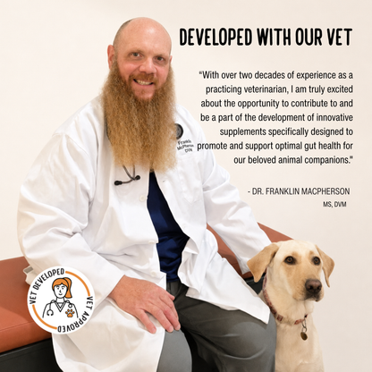 Gut & Immune Powder for Dogs & Cats — Bone Broth