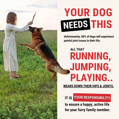 Hip & Joint Chews for Dogs — Mobility Support