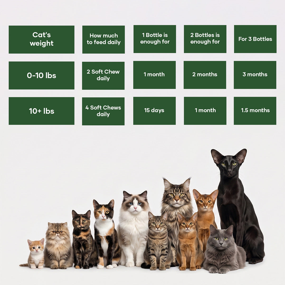 Snootkin Hairball Formula – Hairball Management with Omega-3s & Biotin for Cats