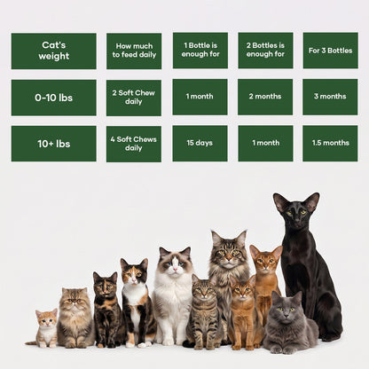 Snootkin Hairball Formula – Hairball Management with Omega-3s & Biotin for Cats