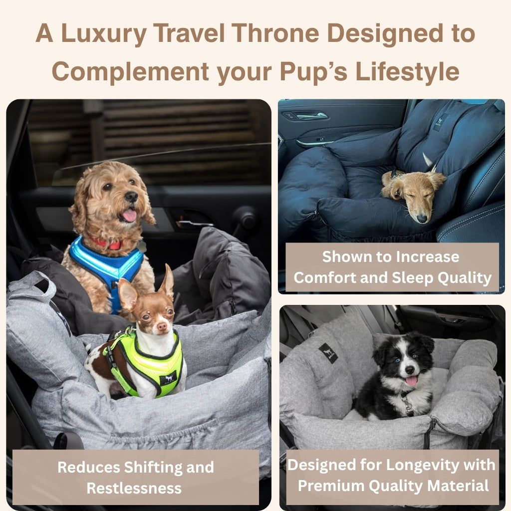 V2 Premium Dog Car Seat with Removable Covers + Luxury Cushion