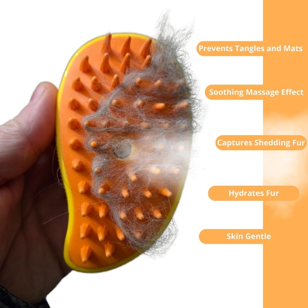 Steam Cat Brush — Self-Cleaning, Massage Grooming