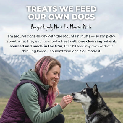 Freeze-Dried Beef Liver Dog Treats — Training