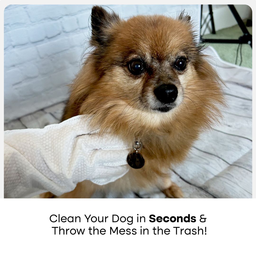 Pet Grooming Glove Wipes — No-Rinse Clean After Walks