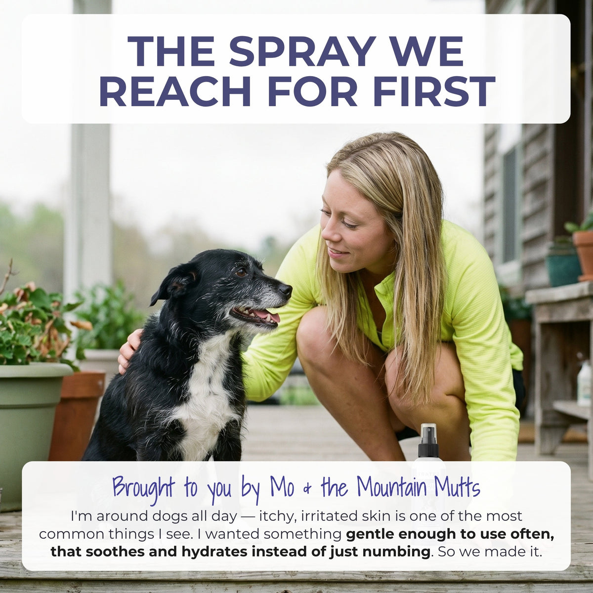 Dog Anti-Itch Spray — Dry & Itchy Skin