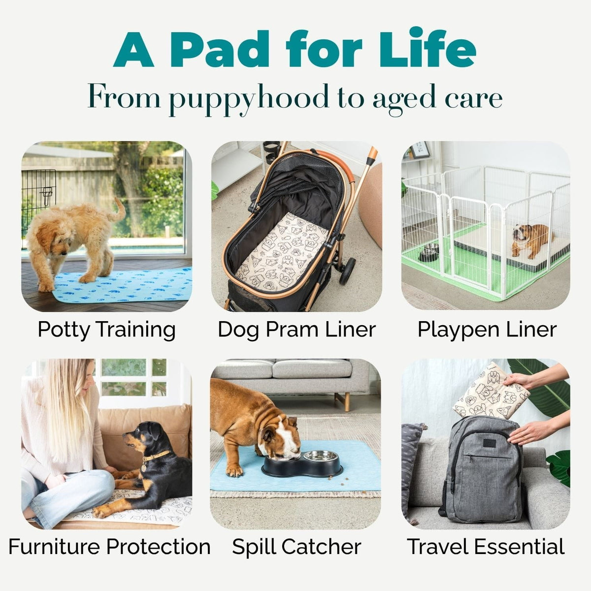 Washable Dog Pee Pads — Reusable, Leak-Proof