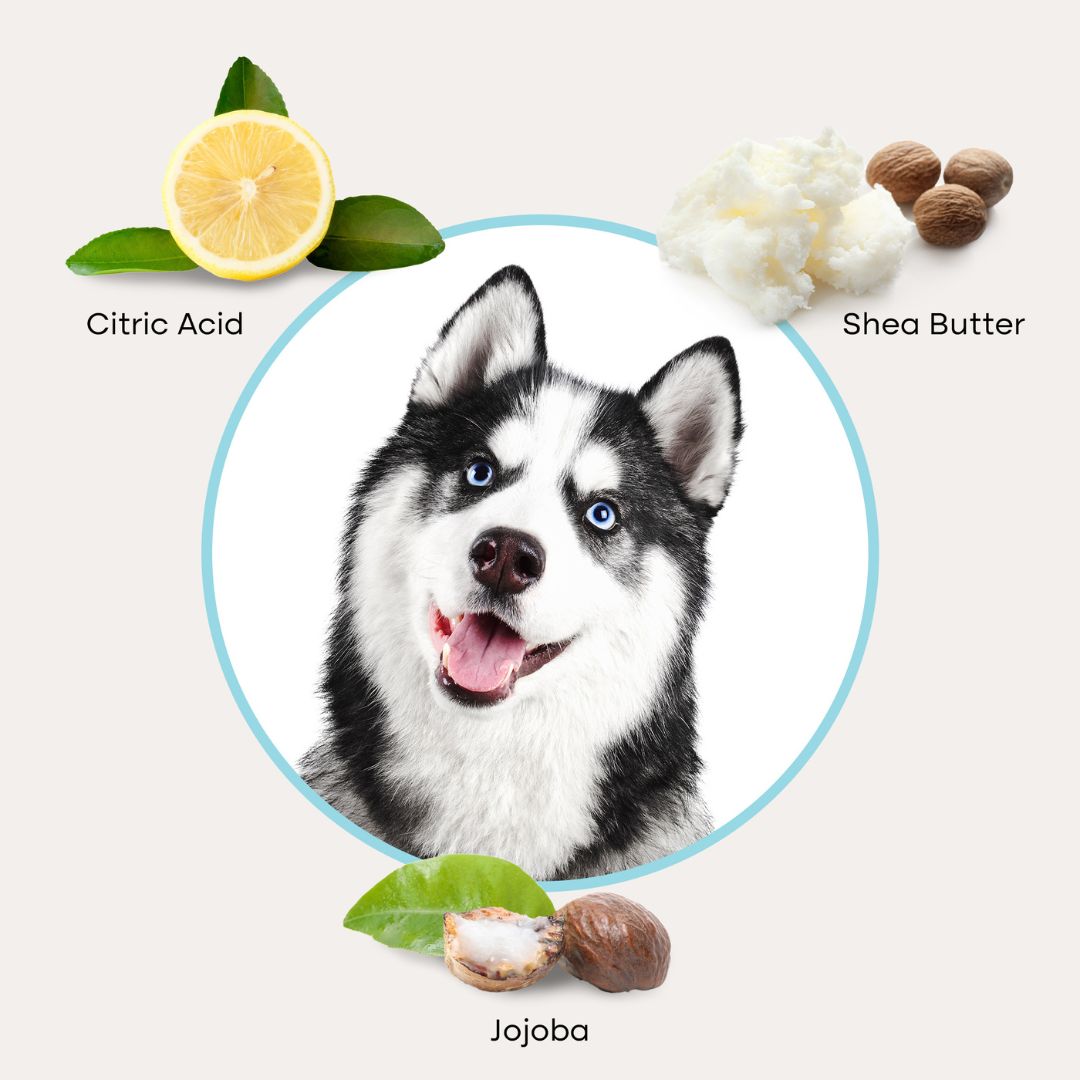 Pet Grooming Glove Wipes — No-Rinse Clean After Walks