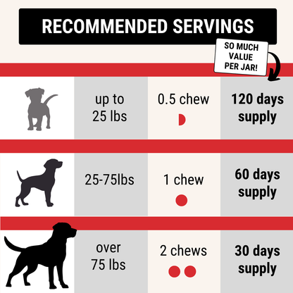 Hip & Joint Chews for Dogs — Mobility Support