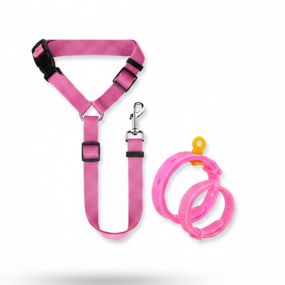 2-in-1 Dog Car Seat Belt & Walking Leash