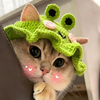 Premium Hand-Knitted Frog Hat for Cats