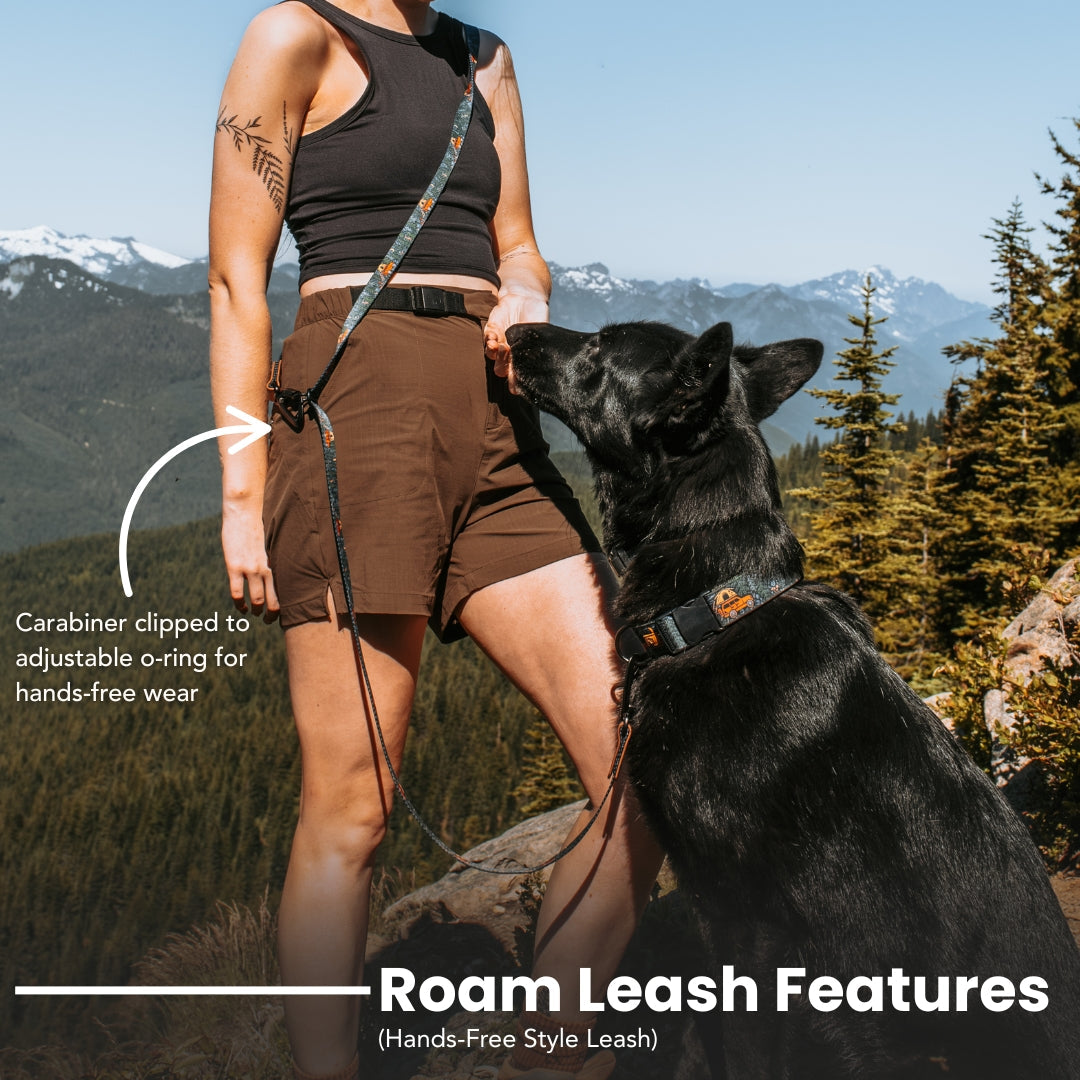 Adventure Dog Leash — Locking Carabiner Clip