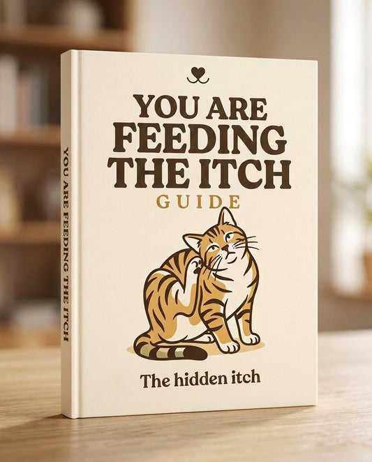 You Are Feeding the Itch